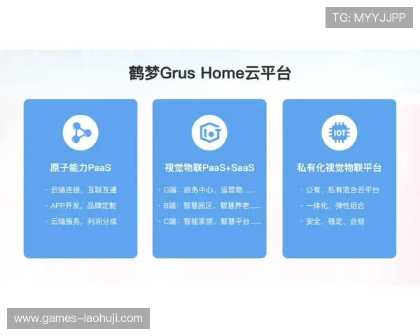 多宝电子游戏设备安全性分析及购买建议保障您的资金安全 多宝电子游戏设备安全性分析及购买建议保障您的资金安全